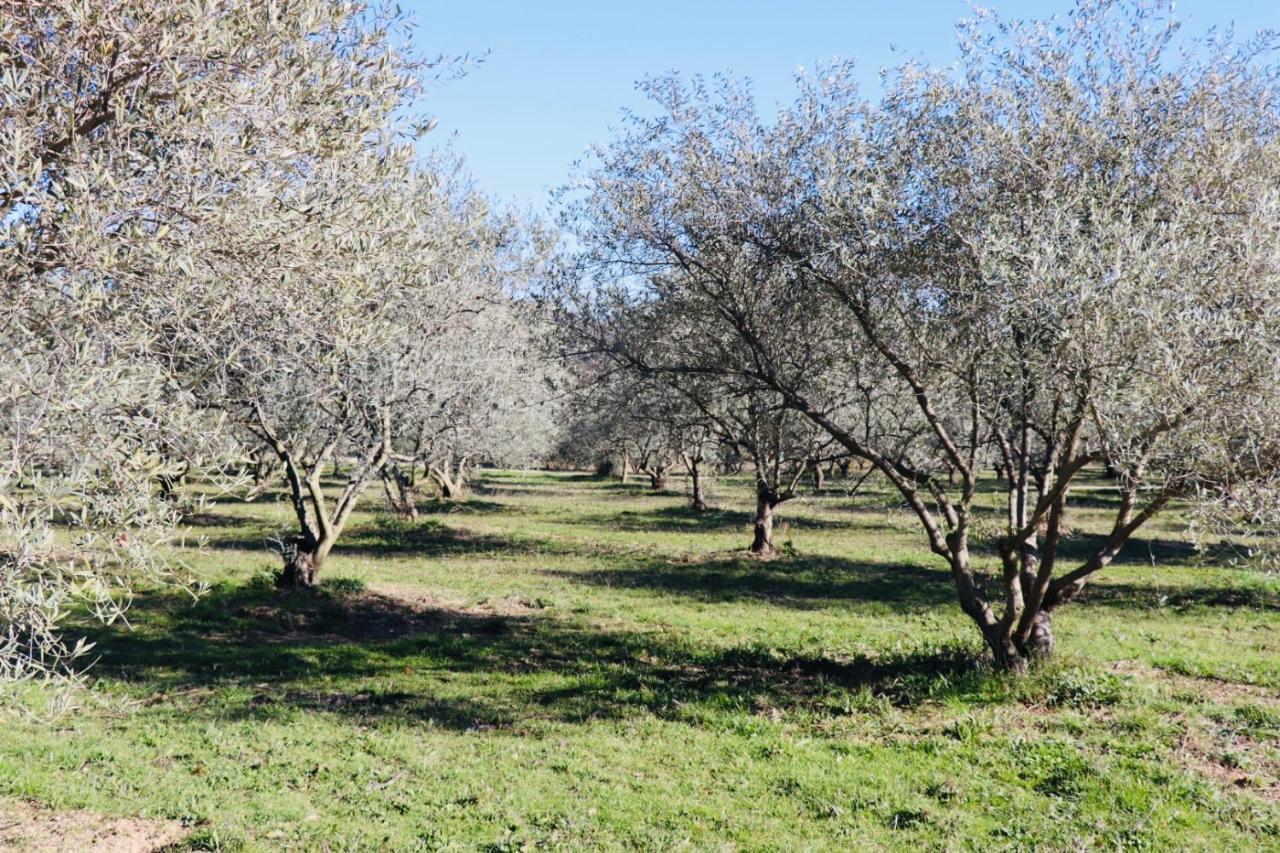 Terre Luberon Pertuis Exterior foto